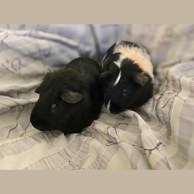 Photo of Marco & Polo