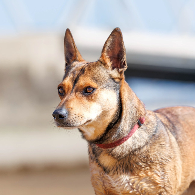 Photo of Milly Milly