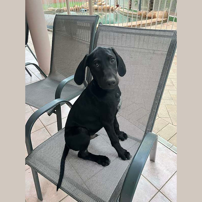 Photo of Reggie