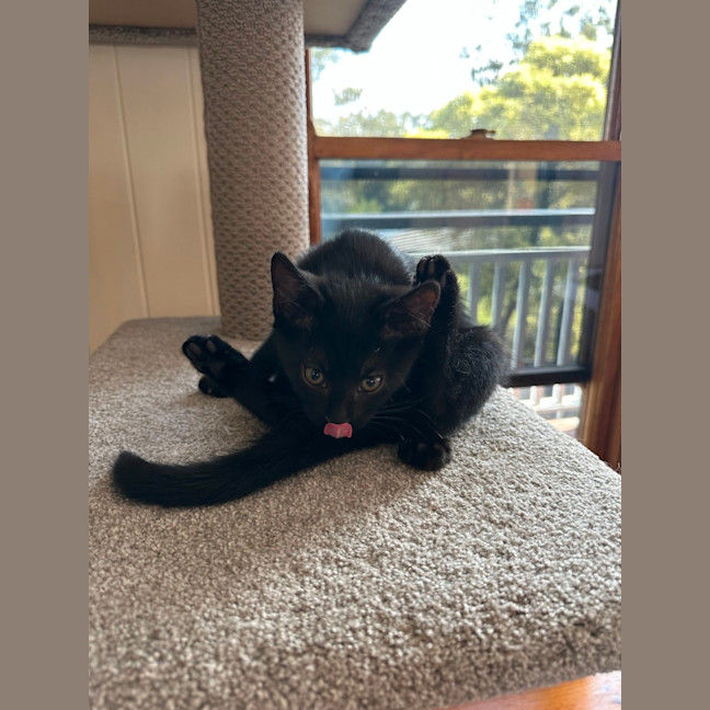 Photo of The Riddler