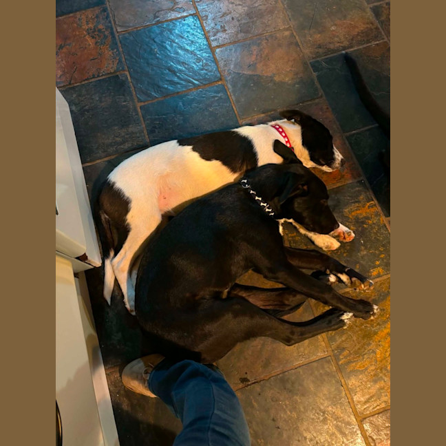 Photo of Heidi