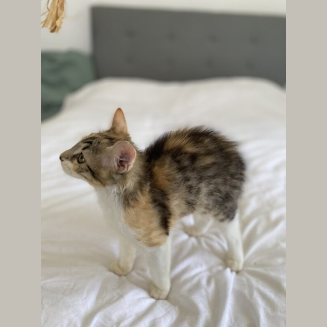 Photo of Alice