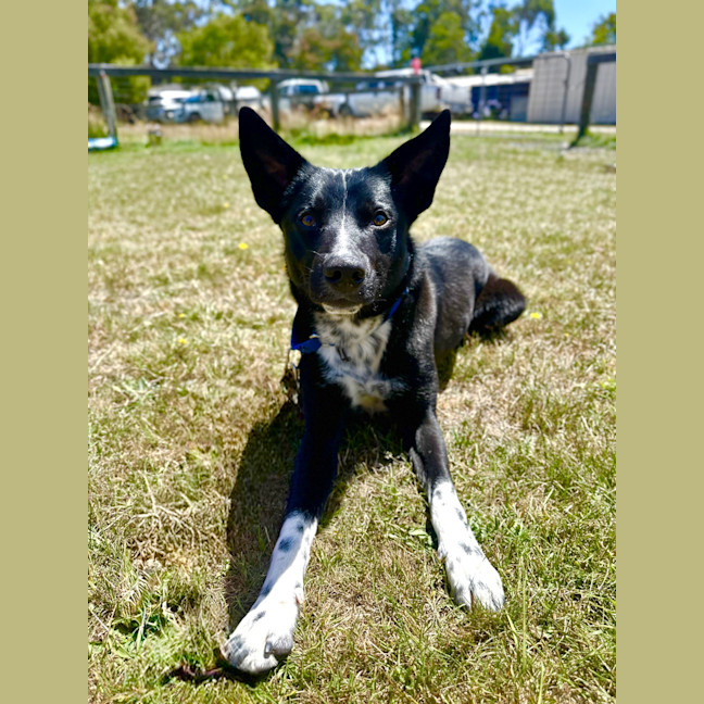 Photo of Pablo