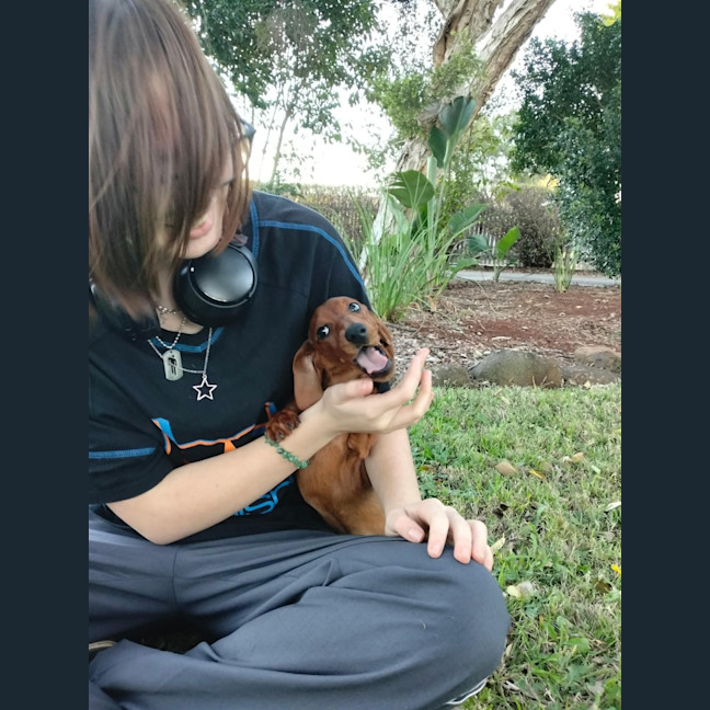 Photo of Wiggles