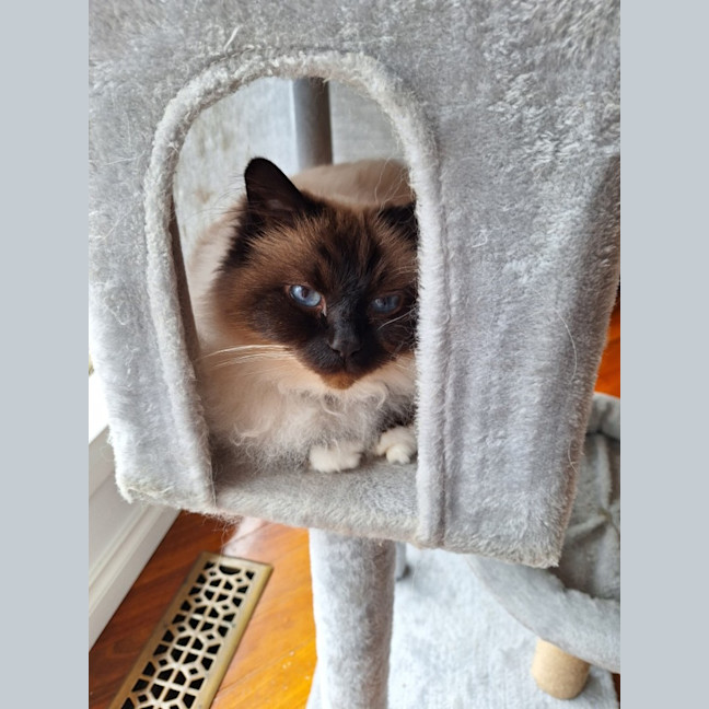 Photo of Princess Saffy