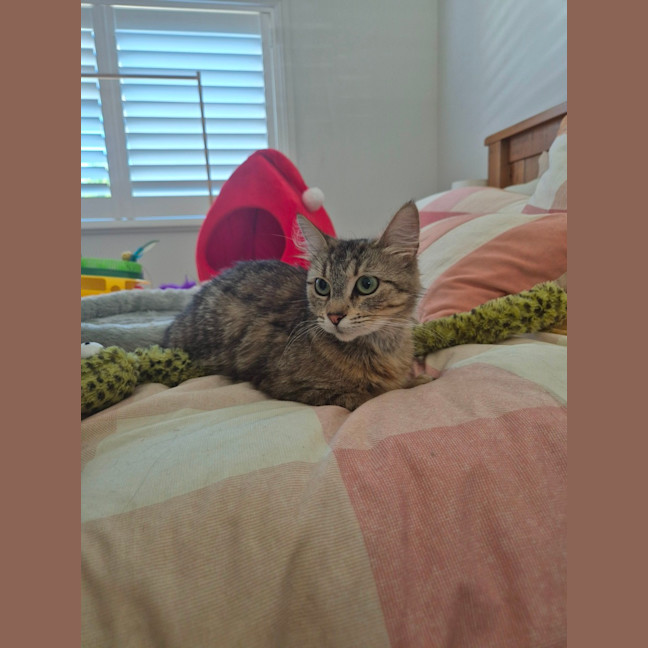 Photo of Daisy