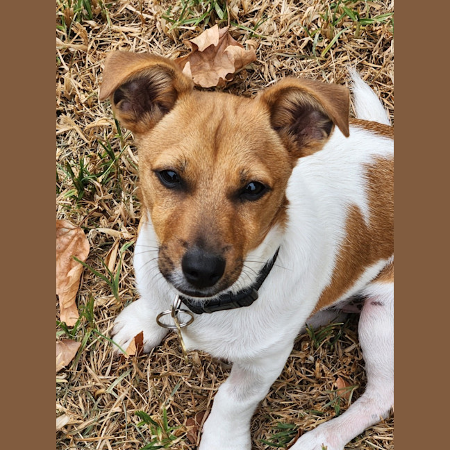 Photo of Ollie Smith