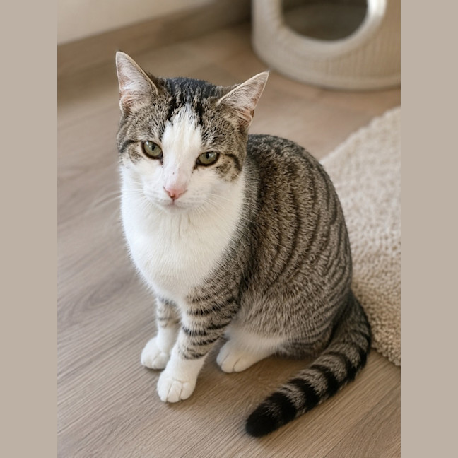 Photo of Marcel