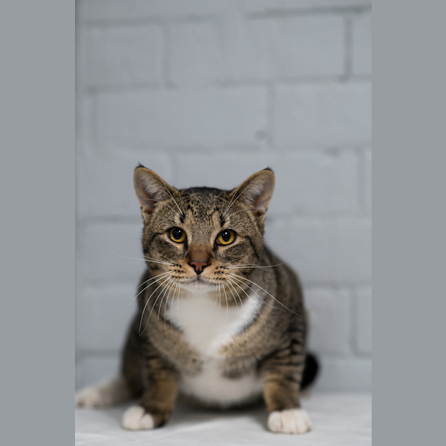Photo of Bart