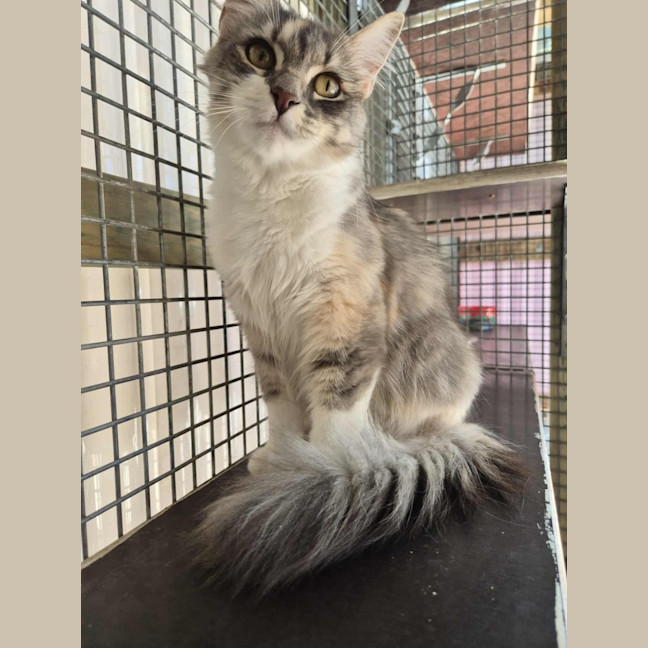 Photo of Spring! 🌷