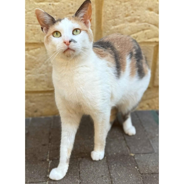 Photo of 11766   May