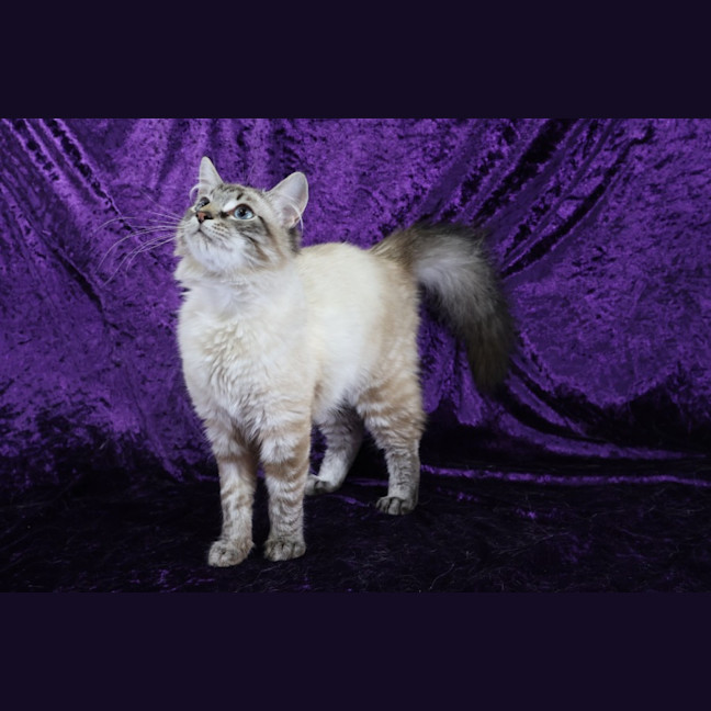 Photo of Cisco