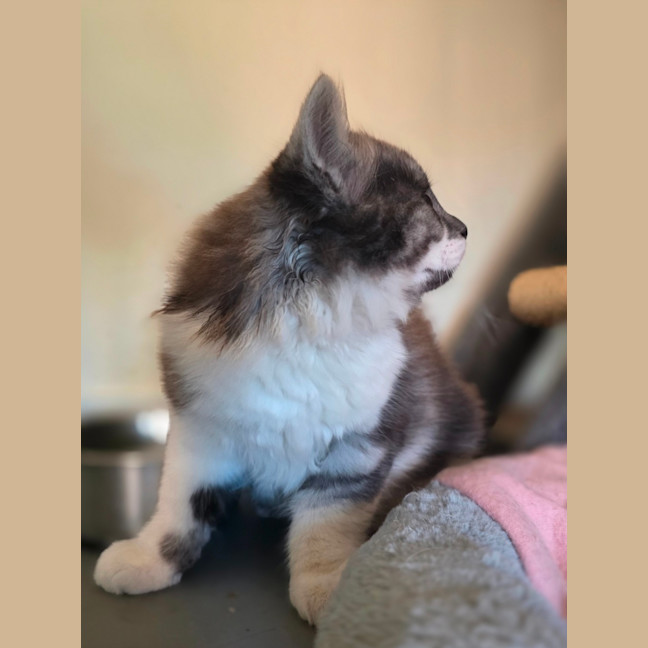 Photo of Hugo