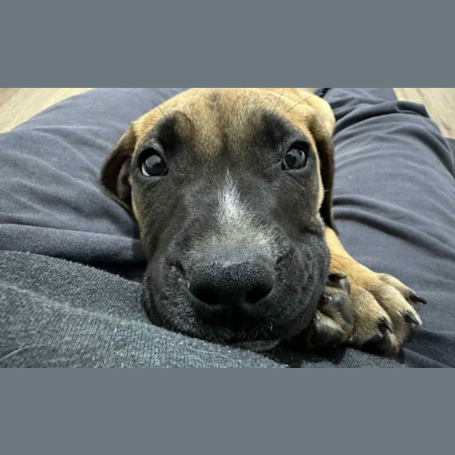 Photo of Gus