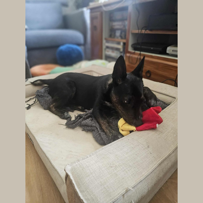 Photo of Matilda