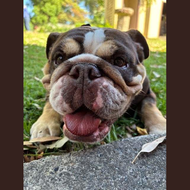 Photo of Gucci