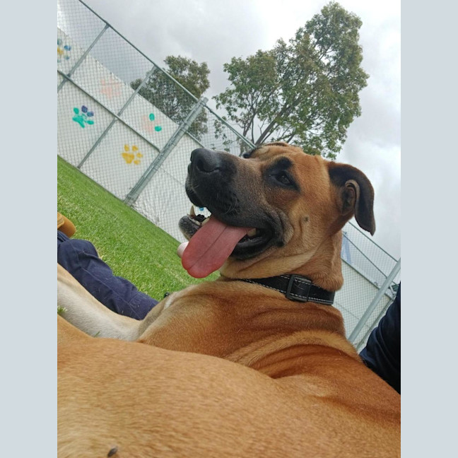 Photo of Gertie