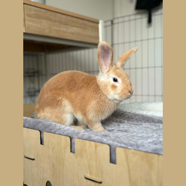 Photo of Jinny