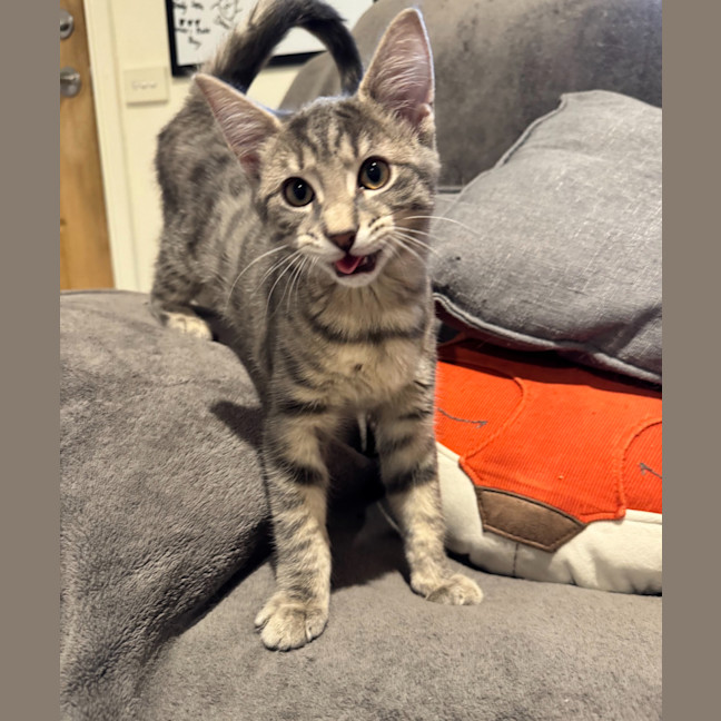 Photo of Freddie Aka Freaking Freddie