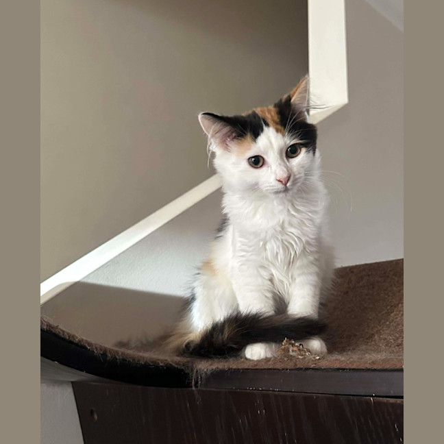 Photo of Rosie Mae