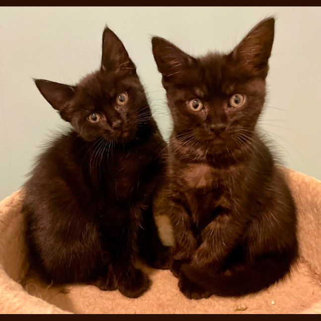 Photo of Rumor & Cider