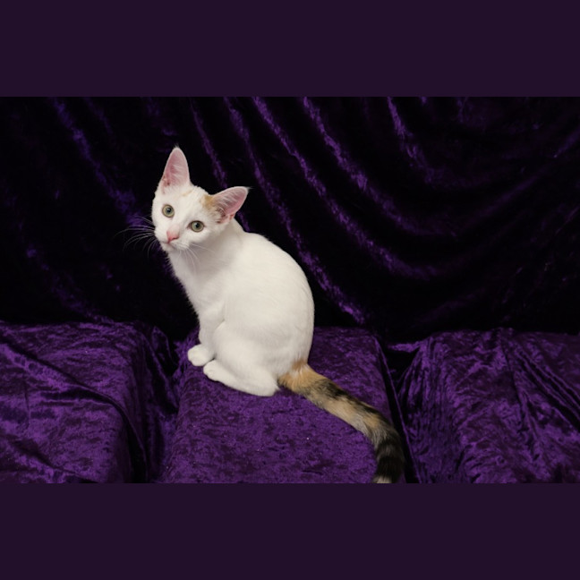 Photo of Katinka