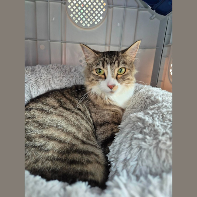 Photo of Bailey!  👑 