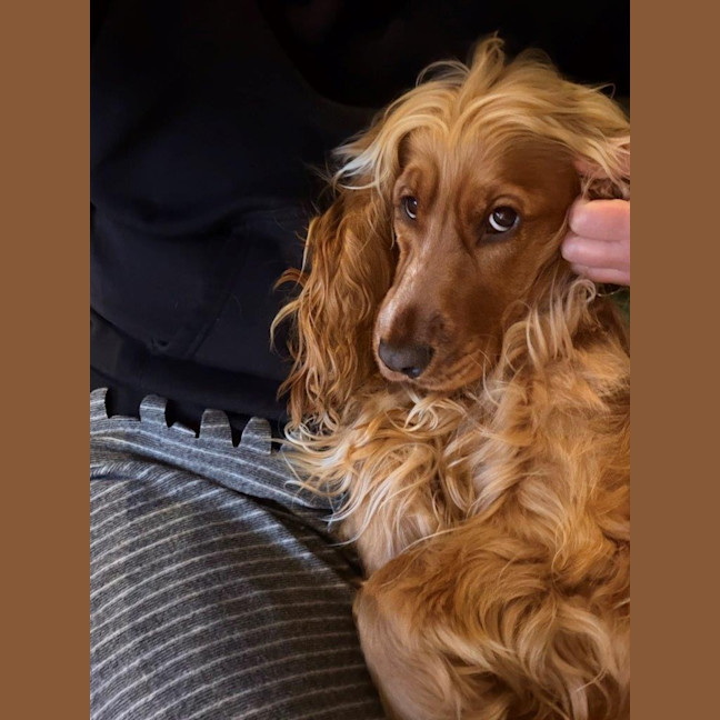 Photo of Cookie Dumont