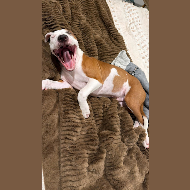 Photo of Cookie Oliver