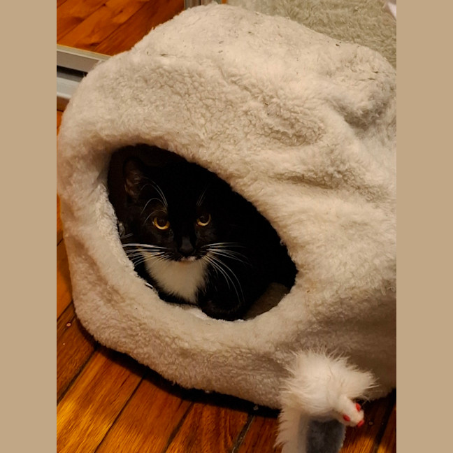 Photo of Kissy