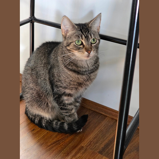Photo of Jasmine