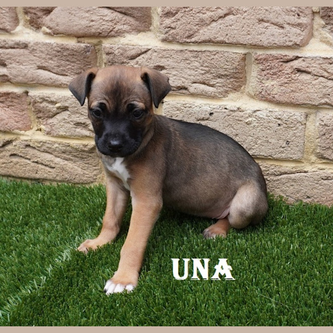 Photo of Una