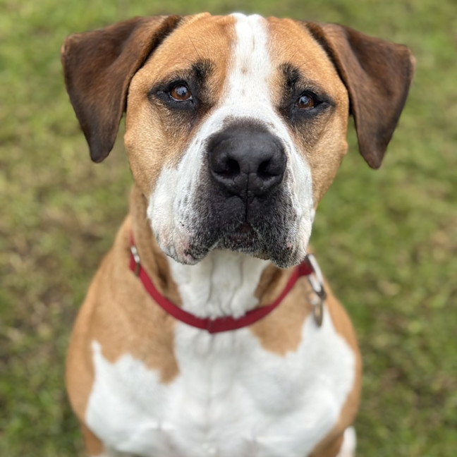 Photo of Ralph