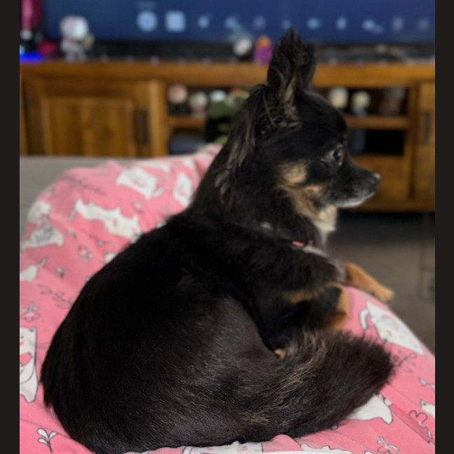Photo of Jesse