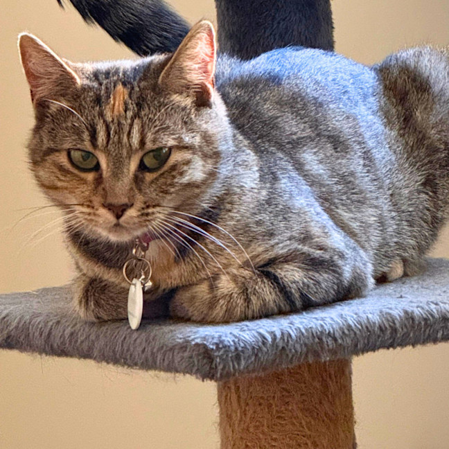 Photo of Remmie & Rosie