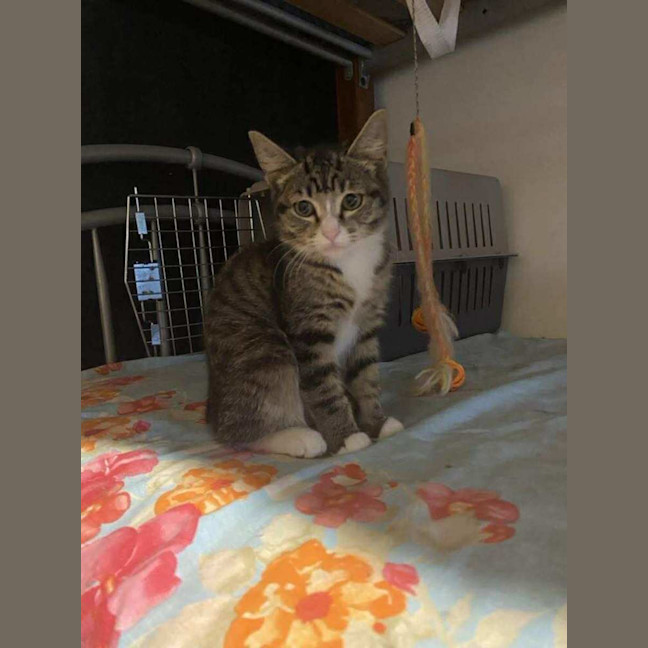 Photo of Amara