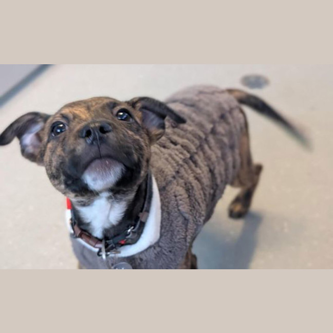 Photo of Bentley
