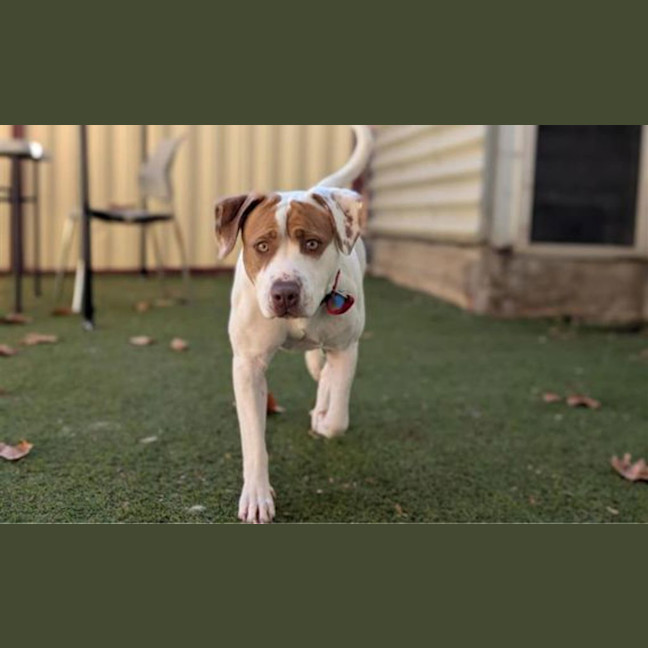 Photo of Polly