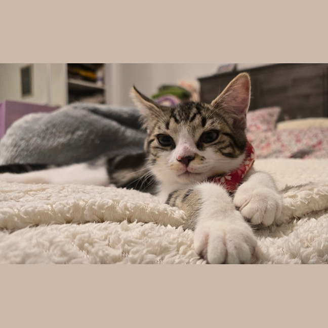 Photo of Isidora