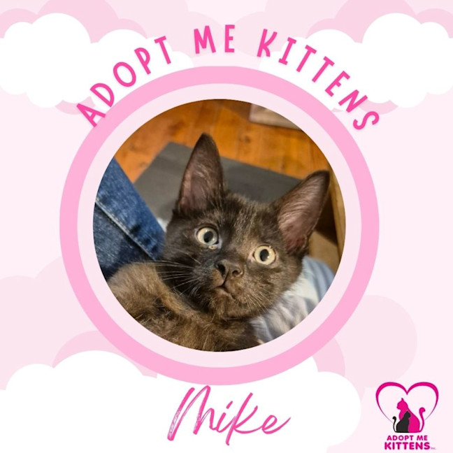 Photo of Mike