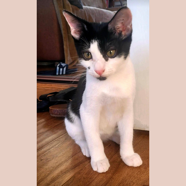 Photo of Manny And Munro