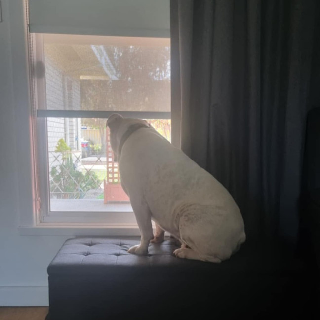 Photo of Stormin Normin