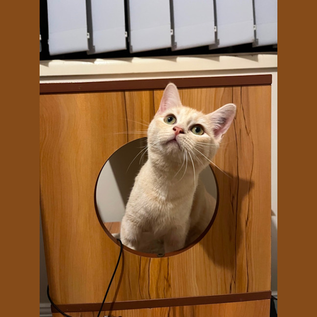 Photo of Benny & Goldie