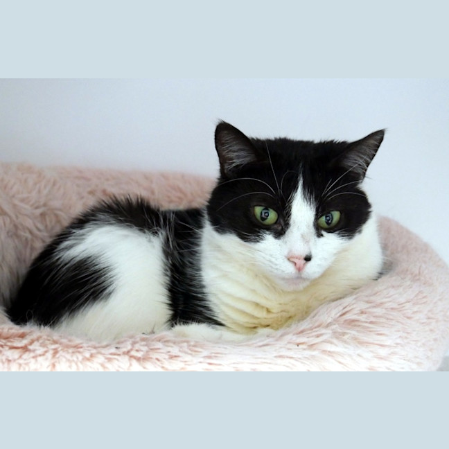 Photo of Jasmine Sta013879