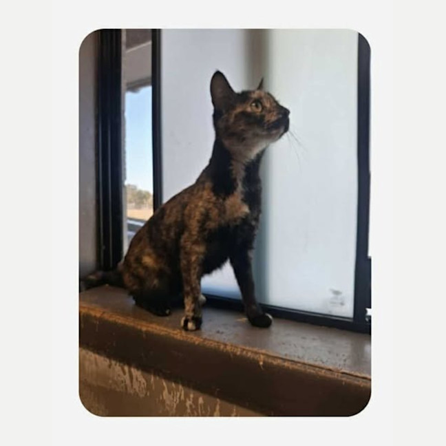 Photo of Eydis