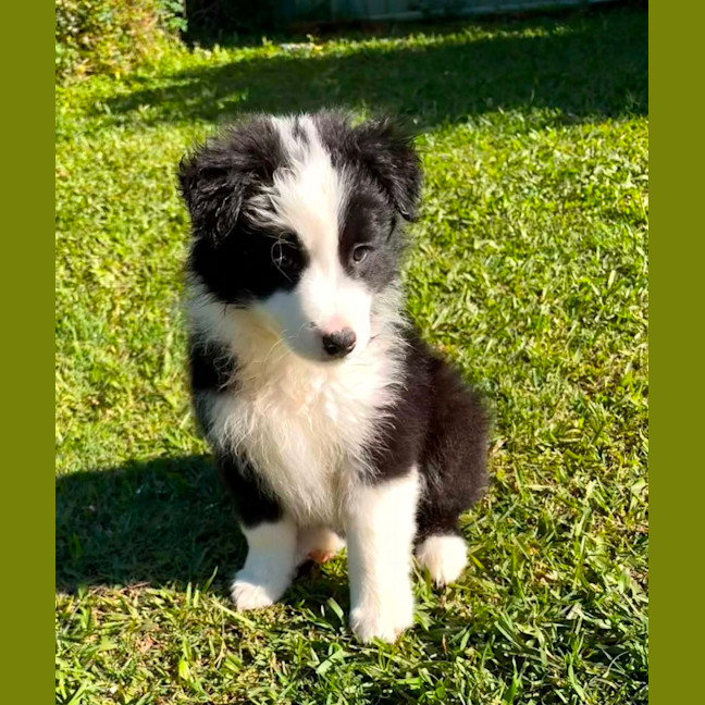 Photo of Kylo