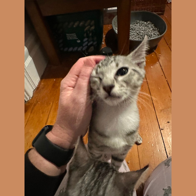 Photo of Harlan