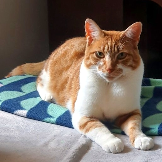 Photo of Jurgen Sua013689