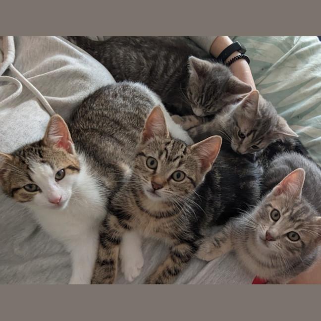 Photo of Isabella Scotty