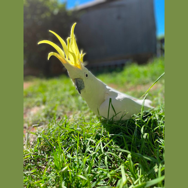 Photo of Miss Patricia 